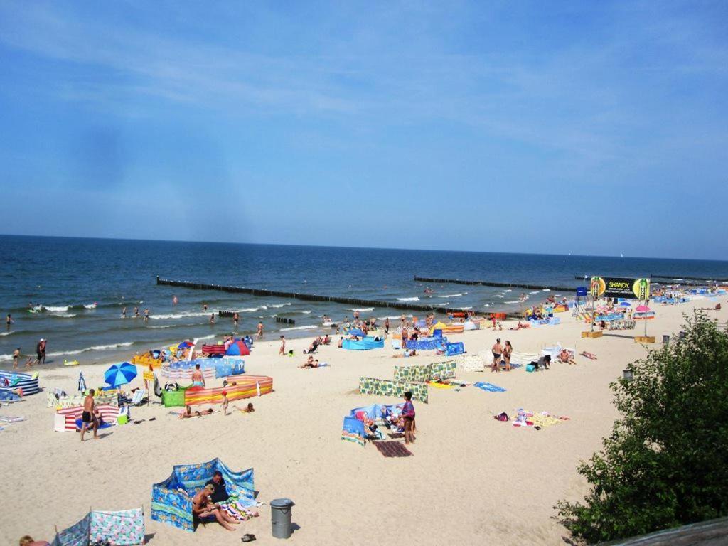 Natura Park Ustronie Morskie - Domki, Apartamenty Exterior foto